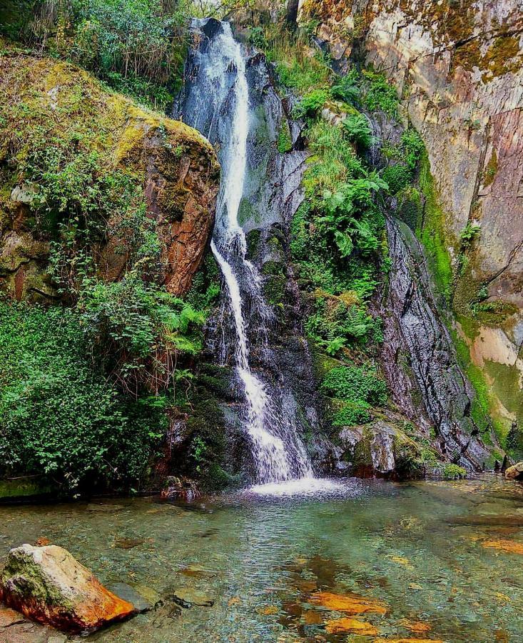 לינה וארוחת בוקר ארגניל Fonte D' Amandos מראה חיצוני תמונה